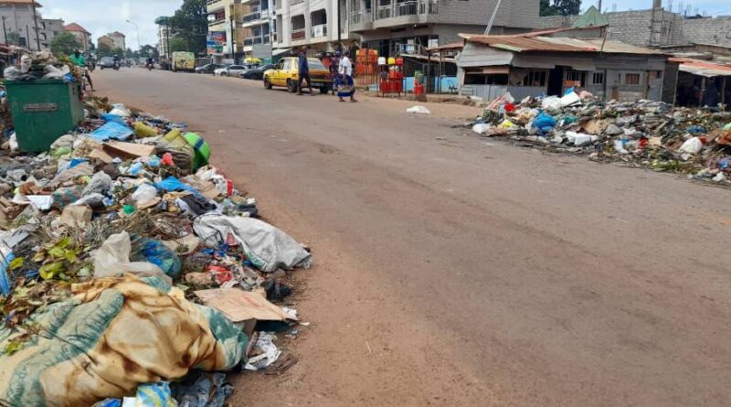 Insalubrité à Conakry : un enjeu de santé publique et de responsabilité collective.