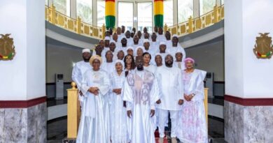 Guinée : remaniement du gouvernement (décret)
